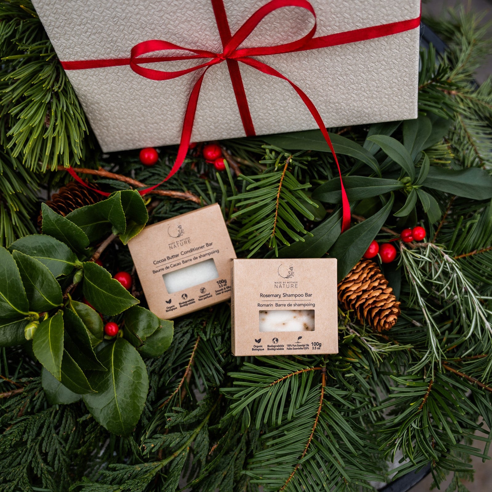 Nourished Hair Gift Set